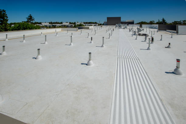 Best Asphalt Shingles Roofing  in Newburg, WI
